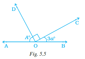 Page 124 Chapter 5 Class 7th NCERT Exemplar